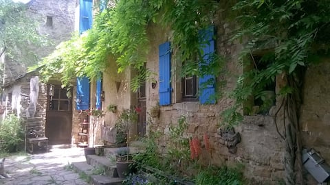 House surrounded by nature with pool