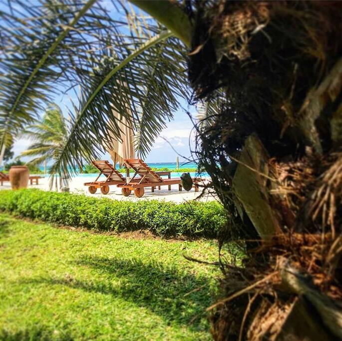 Tropic like it's hot