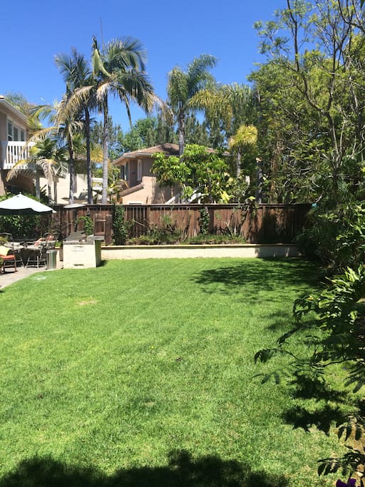 Large grassy backyard. Croquet set and ping pong table available