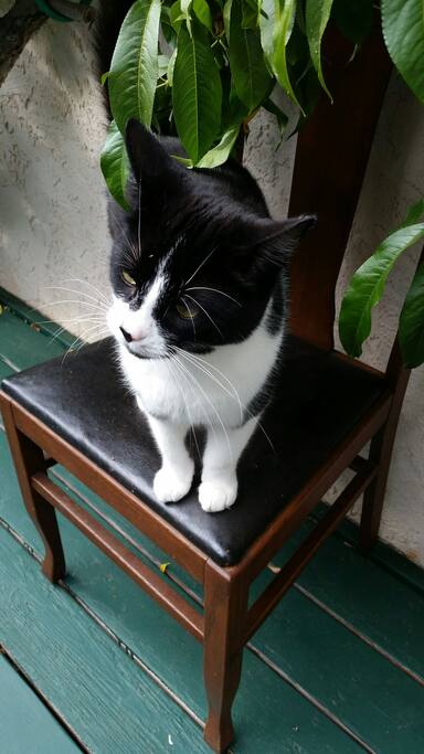 Our Kitty