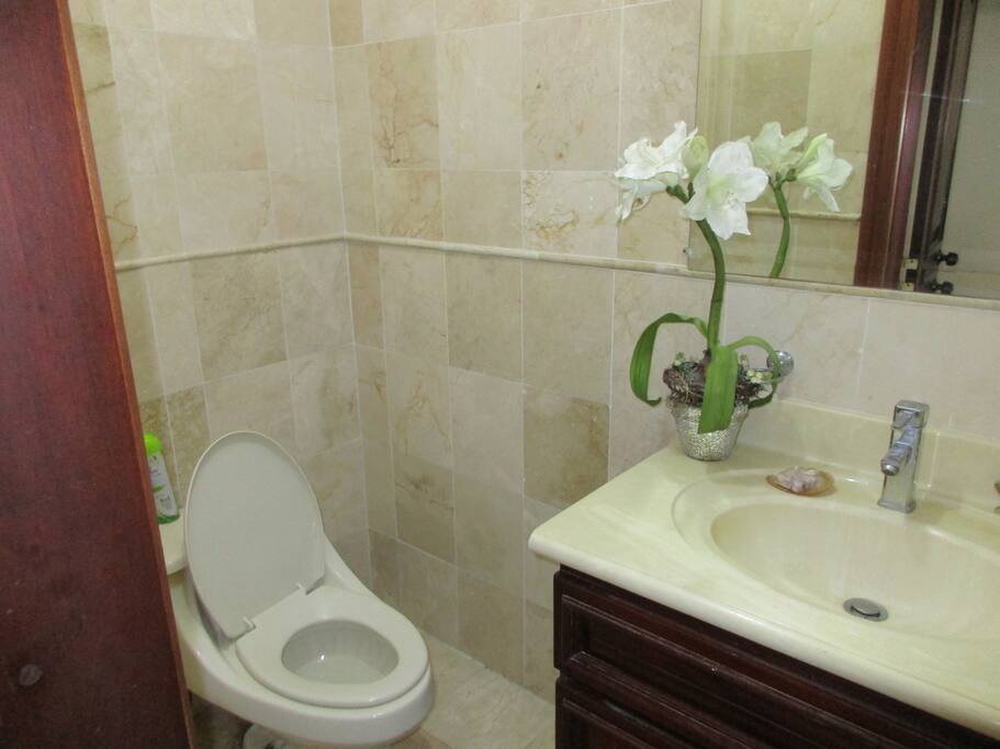 Guest bathroom