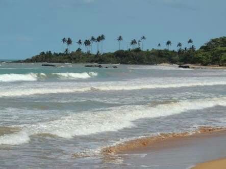 Gentle waves roll onto a sandy beach, where palm trees line the shore in the distance. The landscape is framed by lush greenery and rocky formations, under a clear blue sky with scattered clouds.