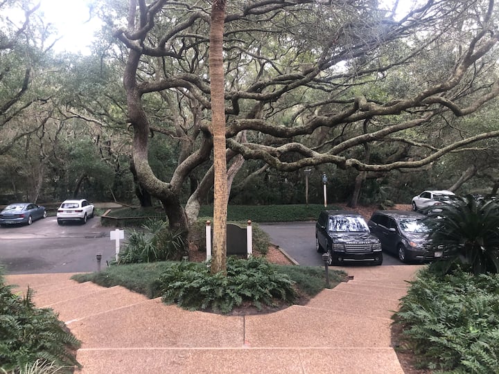 10 Best PetFriendly Airbnbs In Amelia Island, Florida Updated 2024