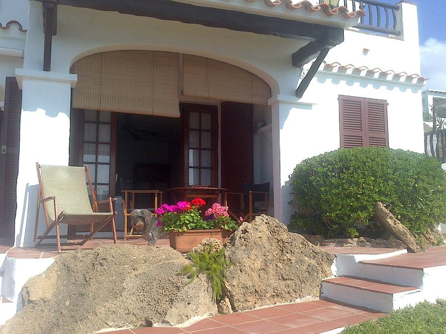 terraza