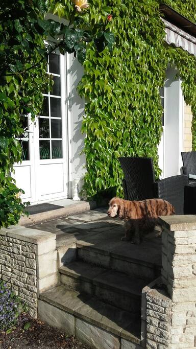 Entrée par la terrasse