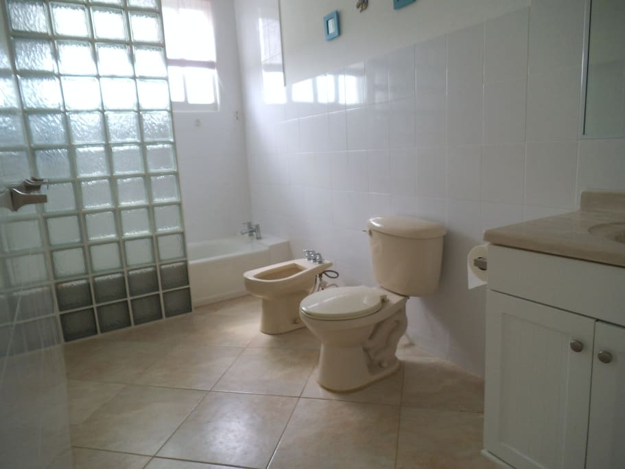 Tub & shower, bidet, toilet and wash basin.