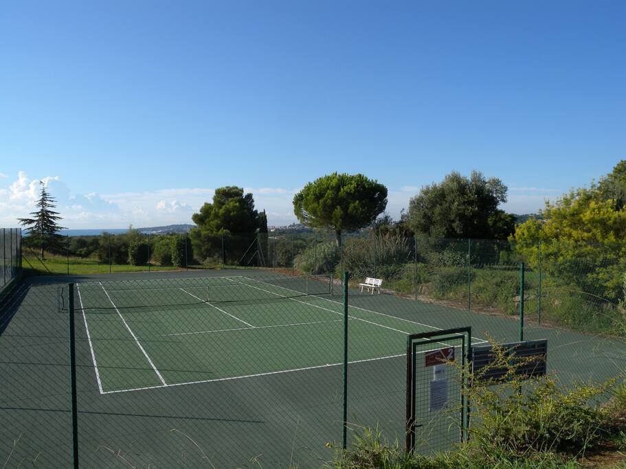 Two tennis courts. There are 4 tennis rackets in the house