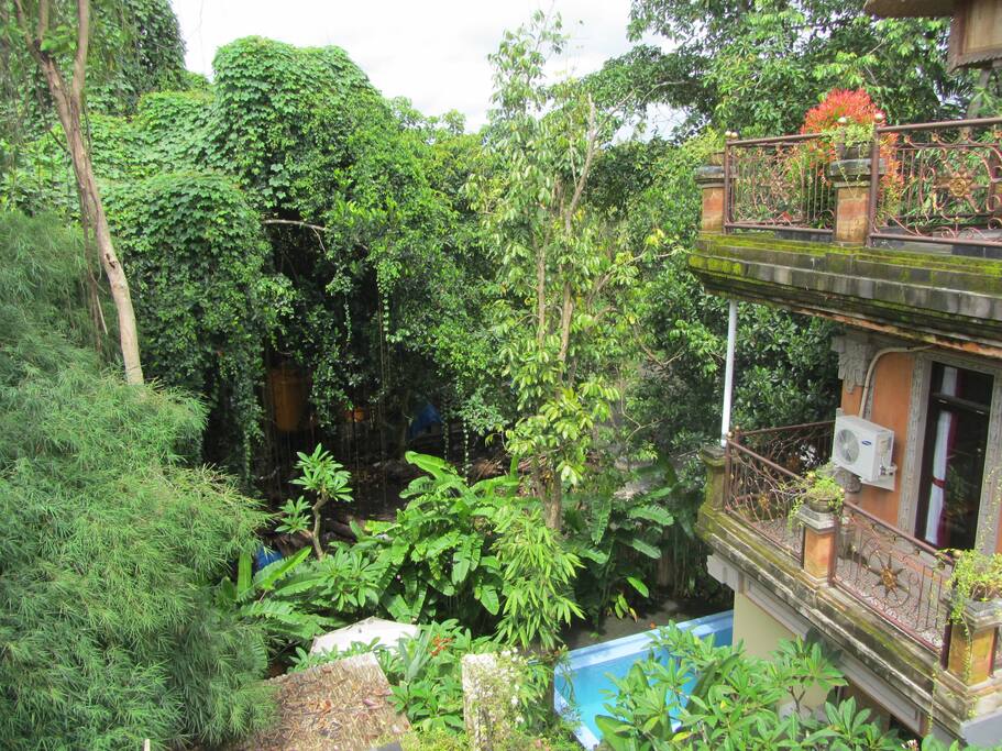 Enjoy the beautiful view without being far from the city center.