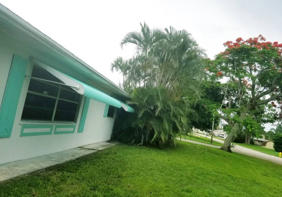 Front Yard