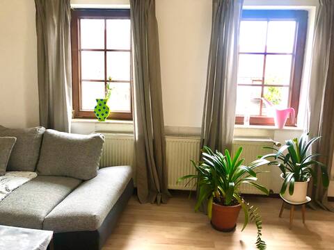 Spacious, quiet attic apartment on the edge of the forest