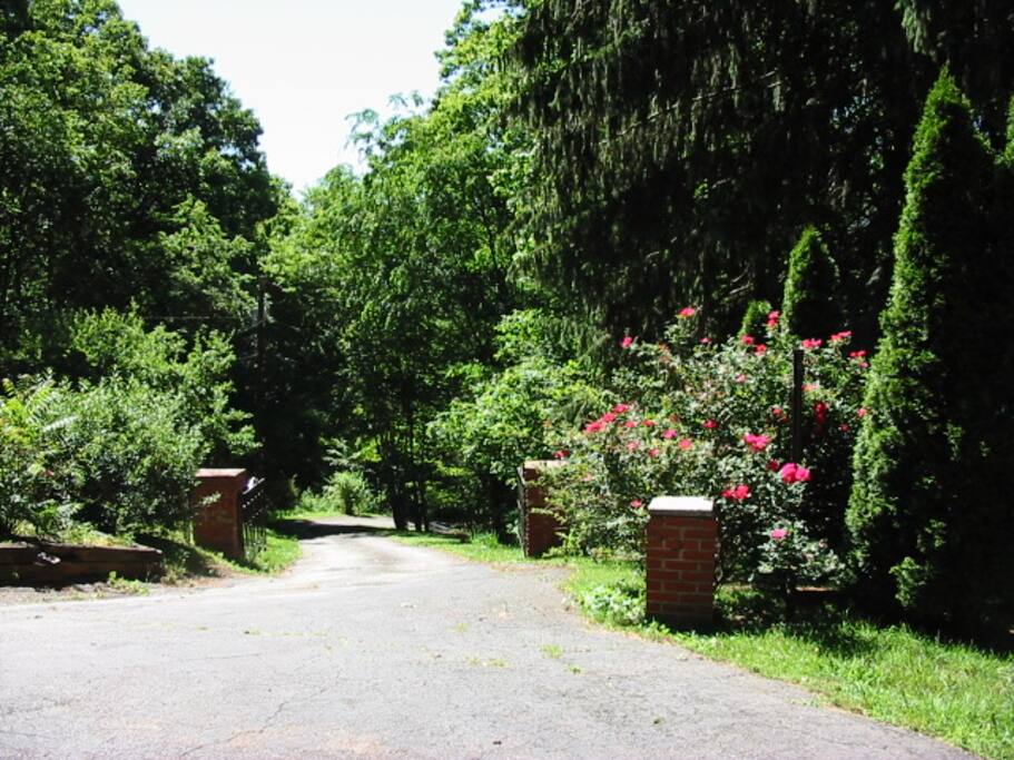 Beautiful drive through the woods, up to the house.