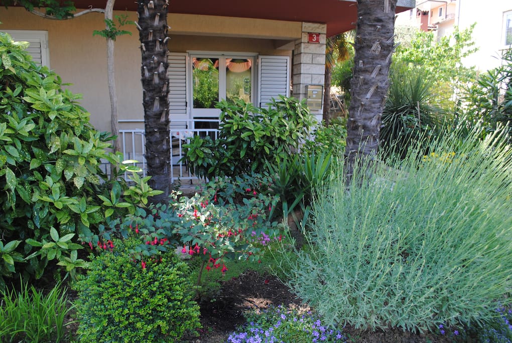 Garden in front of the house