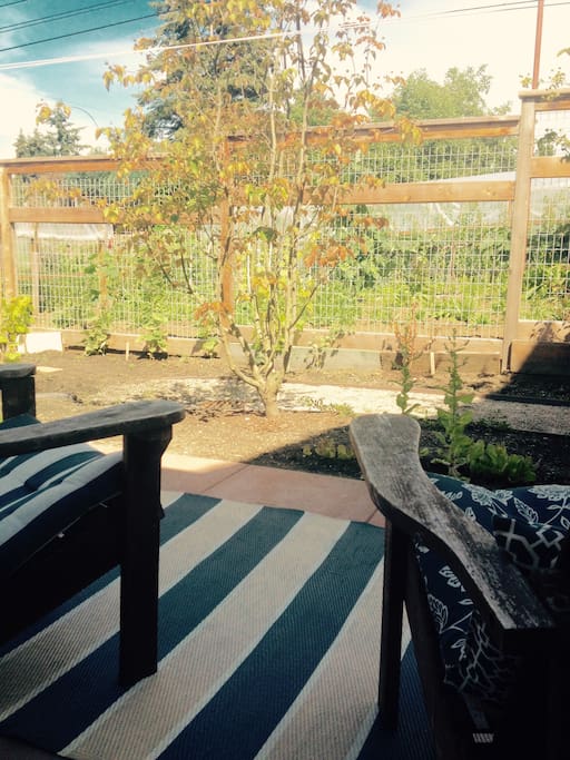 Back patio view- it feels like you are on a farm!