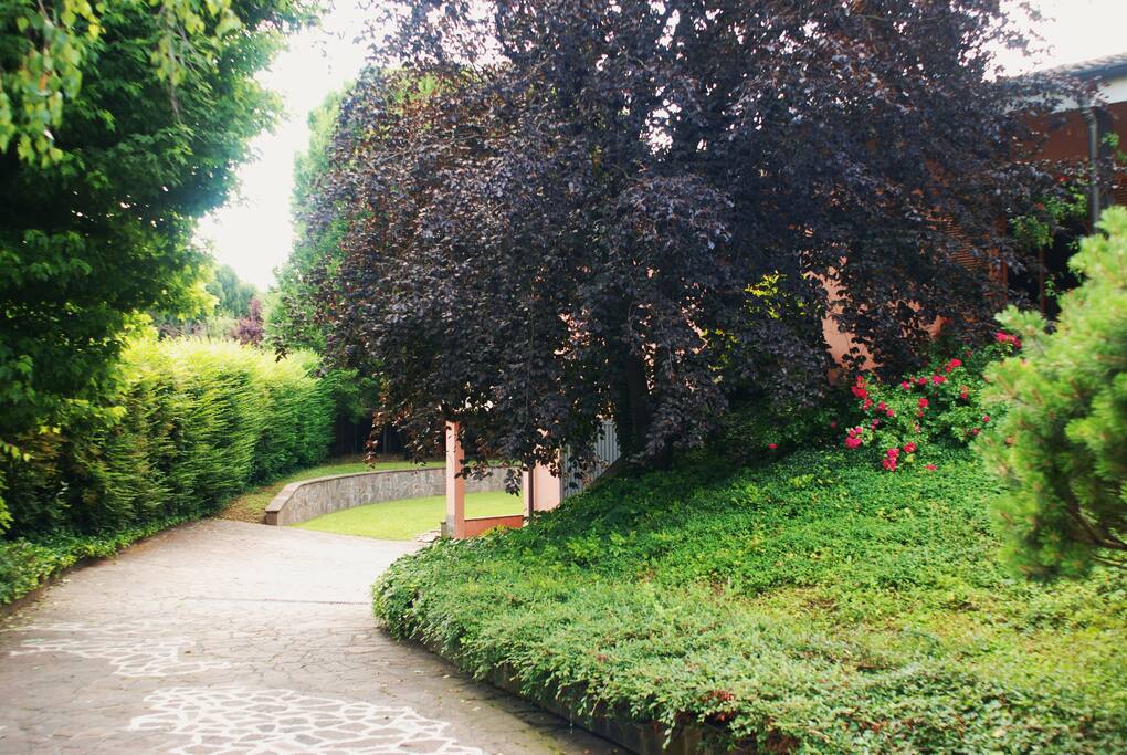 Alleyway to the entrance