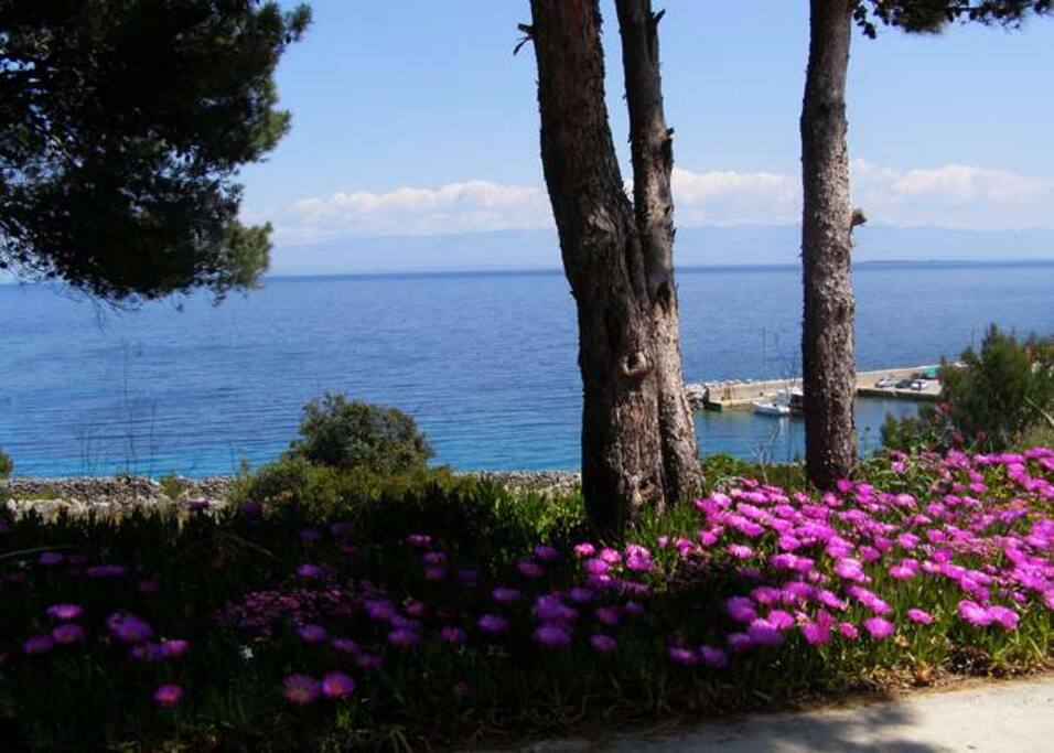 Sea view
from Losinjskih pomoraca street