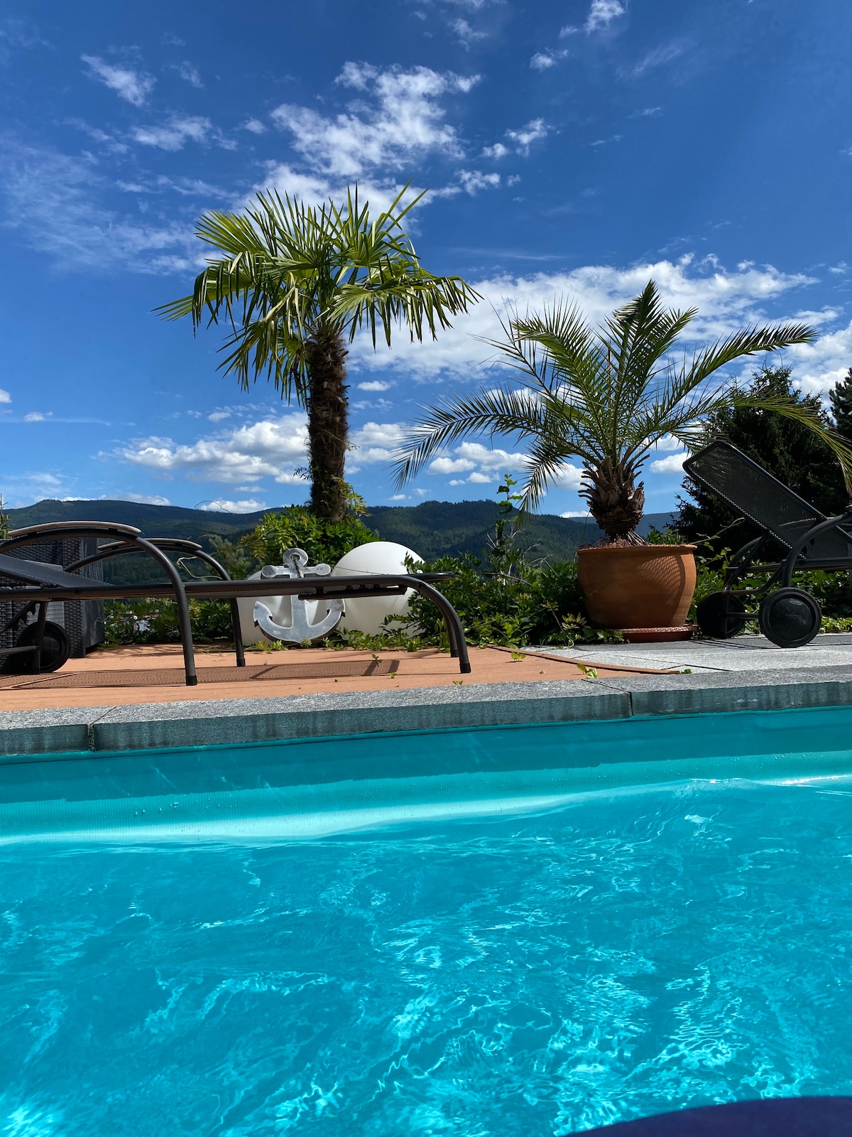 A clear swimming pool reflects the vibrant blue sky, surrounded by lush greenery. Two palm trees and a large potted plant enhance the tropical feel. Comfortable lounge chairs are positioned beside the water, inviting relaxation in the serene outdoor space.