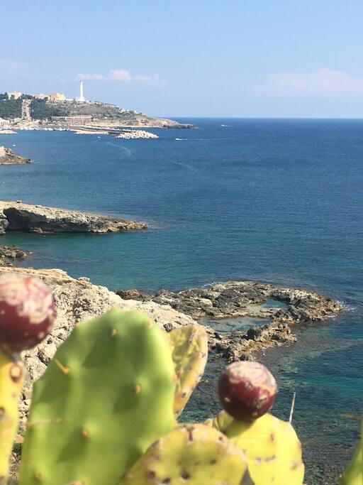 La vista dal terrazzo