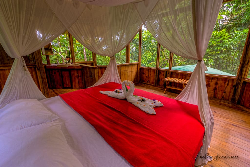 Casa Perezosa bedroom - king bed with 360 jungle views!