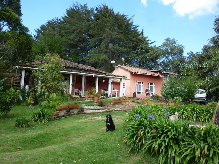 The other side of the house