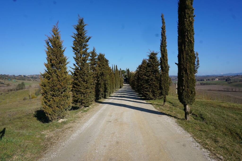 Viale accesso struttura