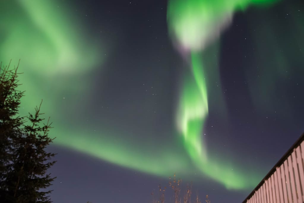 Northern Lights above my house