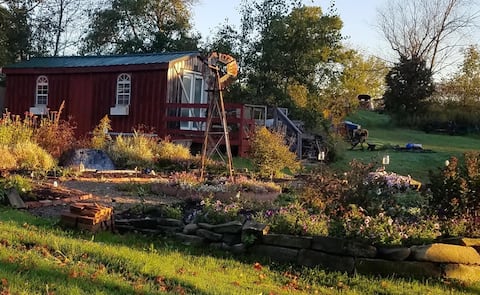 Bella Luna Alpaca Farm Cabin
