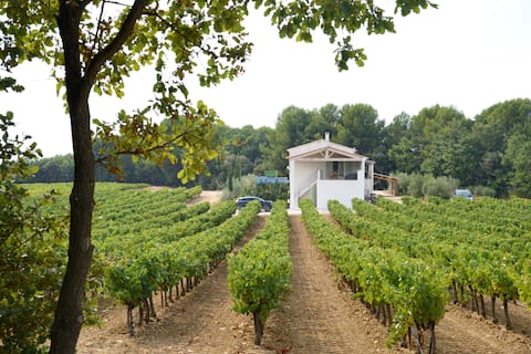 Outbuilding in the vines with terrace and garden