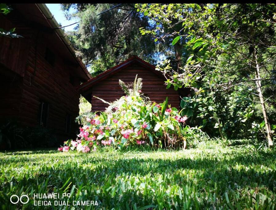 Parte de jardín al fondo bodega, sin uso.
