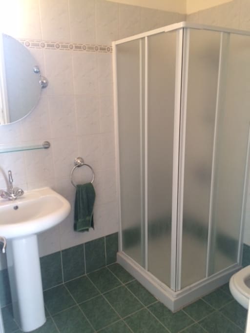 Downstairs shower room