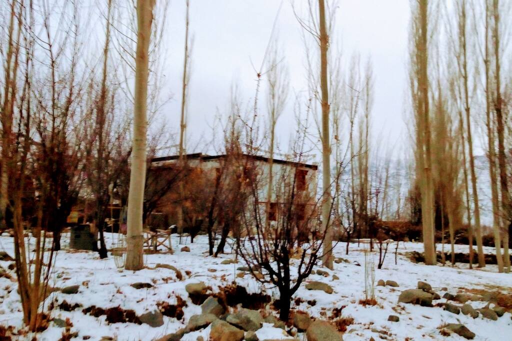 back view of home