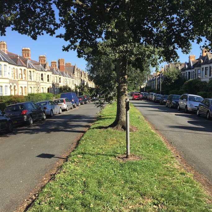 Our leafy avenue in Pontcanna