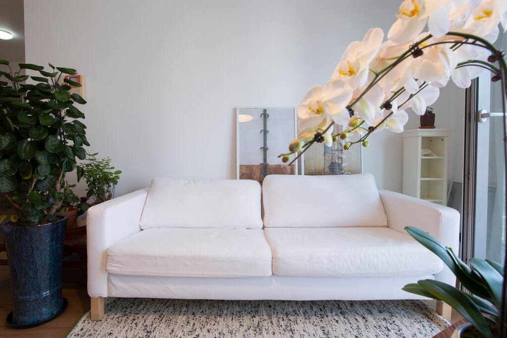 工作空间 Living room(studio)