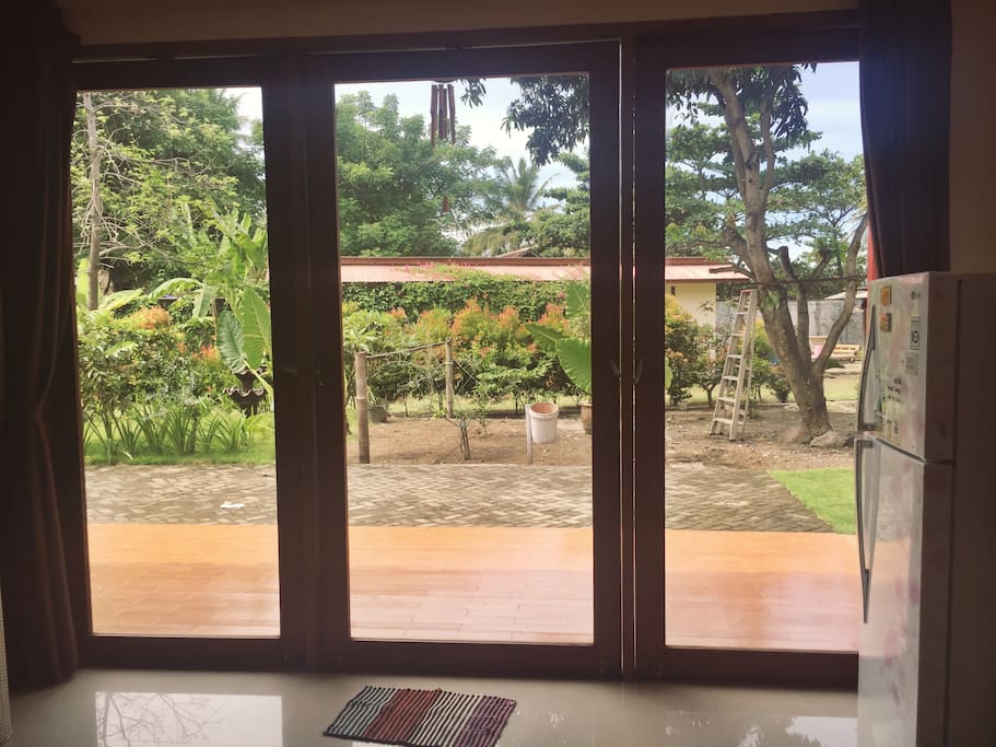 Views from the kitchen.