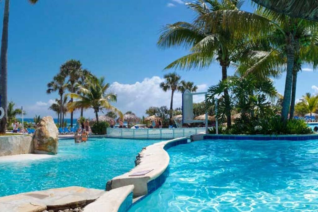 An oasis of relaxation and peace.