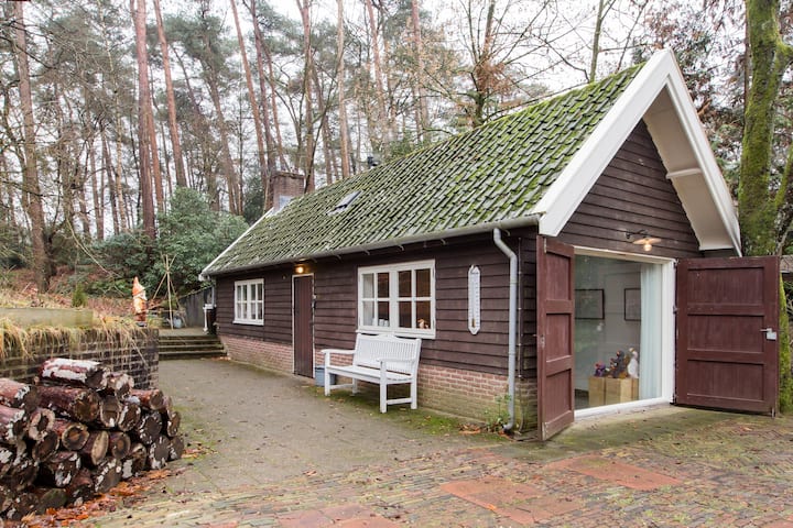 Enjoy peace and space in a stylishly converted garage in Bosch en Duin
