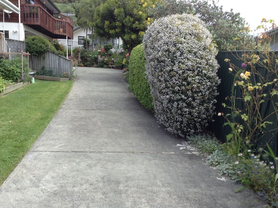 Driveway; pass the front house to get to mine!