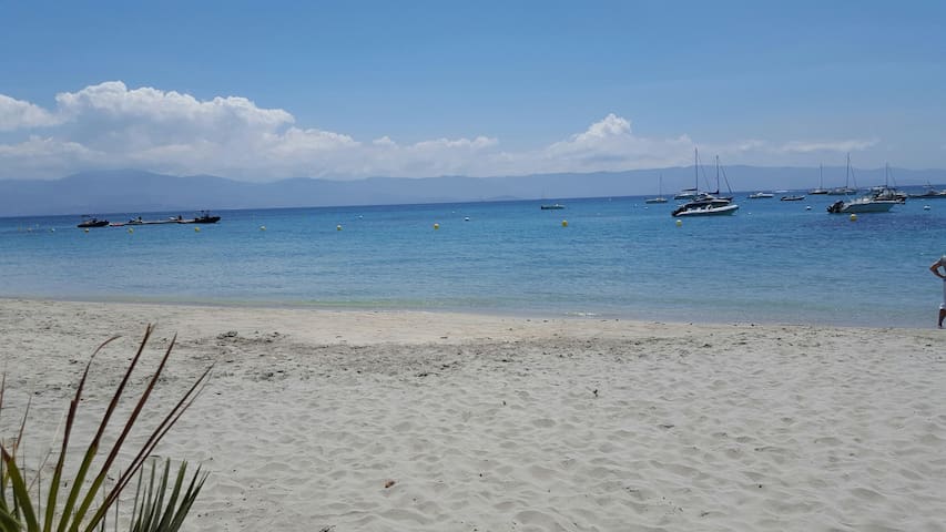 Studio 100m plage sable fin, Sanguinaire, Ajaccio.