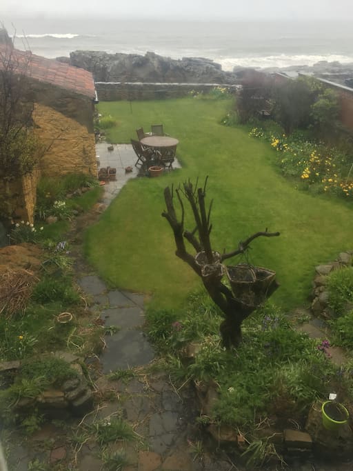 The garden in the beautiful Scottish rain!