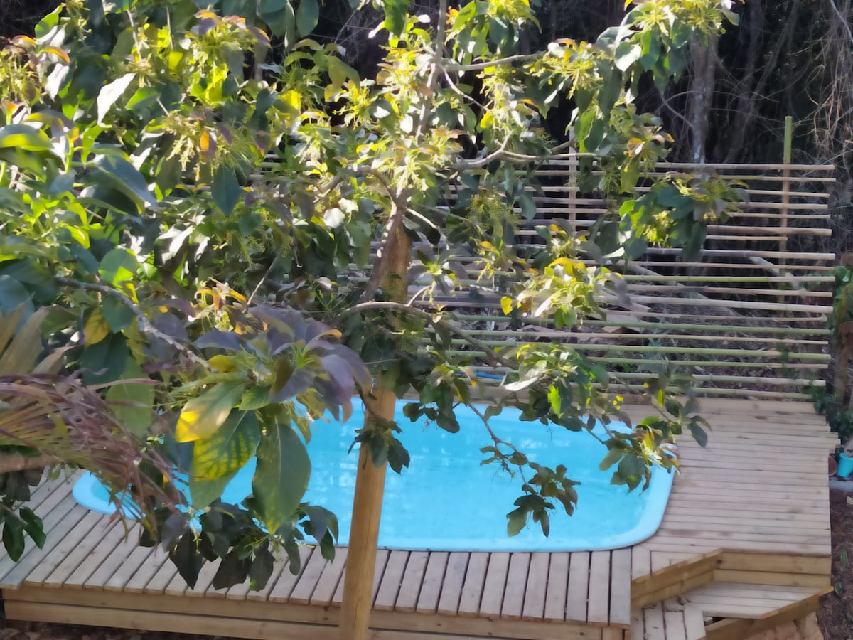 A serene pool area is surrounded by natural greenery, featuring a wooden deck with steps leading to the water. Lush leaves from nearby trees offer shade, creating a calming atmosphere for relaxation.