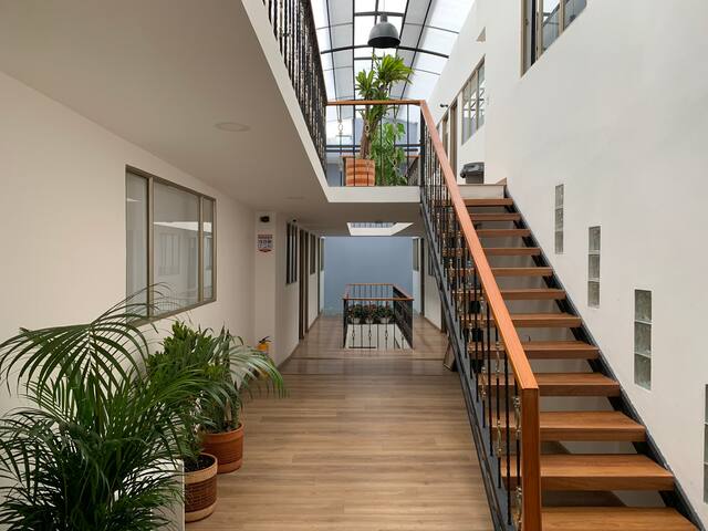 Hotel Botániko managed Airbnb listing 2