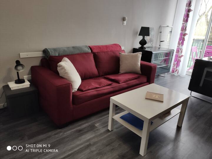 მისაღები ოთახი