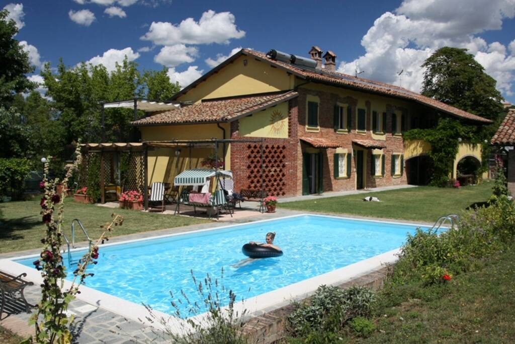 the garden in the summer
