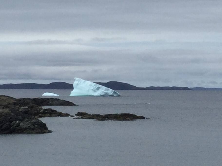 Icebergs viewed from the shore.