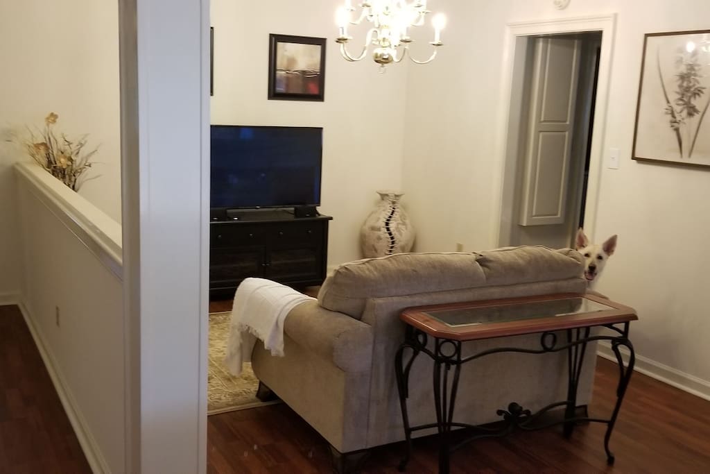 TV Room