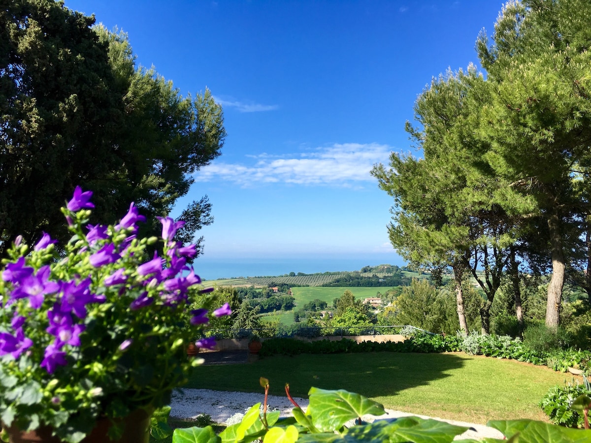 A vibrant arrangement of purple flowers adds color to the foreground, while the open view showcases lush greenery and a distant coastline under a clear blue sky. Tall trees frame the scene, creating a peaceful and natural landscape.