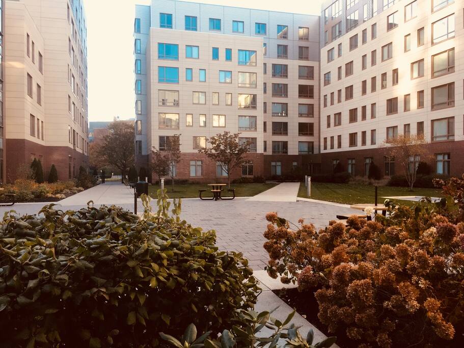 Courtyard with BBQ grills