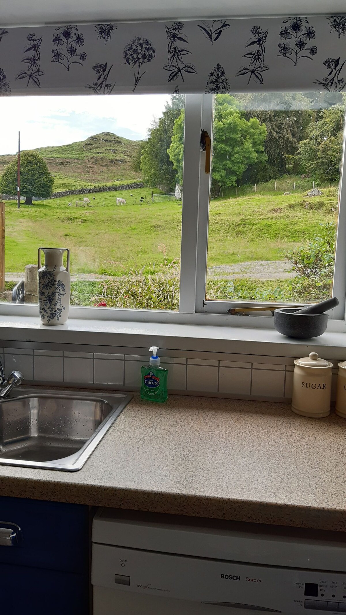 A modern kitchen is visible, featuring a stainless steel sink and countertop. A window offers a view of the green landscape outside, including rolling hills and trees. A bottle of hand soap and containers labeled 'sugar' are positioned on the counter.