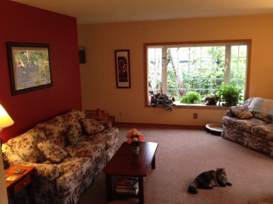 You're welcome to use our living room if there are more than two guests