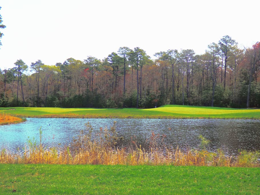 The pond overlooking the 2nd hole on War Admiral. (Yep, this is the backyard!)