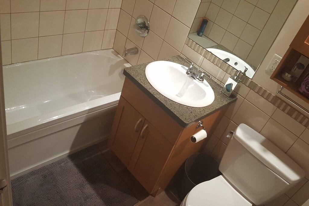 1 newly renovated bathroom complete with shower, bath, sink, towels rails, fan and times heat lamp, toilet, shampoo, conditioner, soap, designer shower curtain and towels